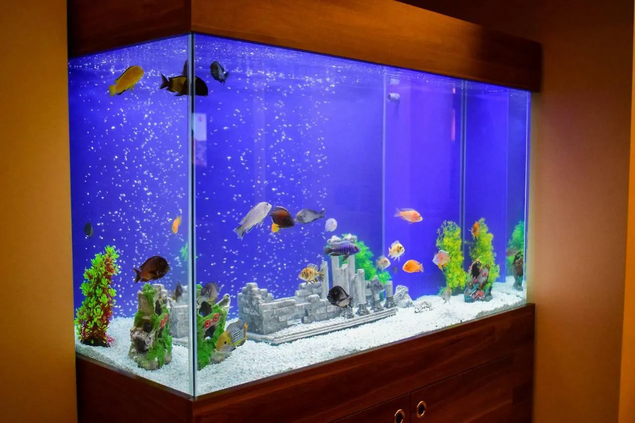 ***  Mekke Hotel Istanbul Турция