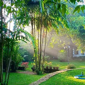 https://mango-house-japanese-guest-house.negombohotels.net